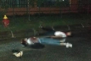 Nghi phạm sát hại bạn gái rồi uống thuốc sâu tử tự tại Hải Phòng đã tử vong