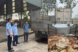 Bắt giữ và tiêu hủy gần 5 tấn da trâu, bò không rõ nguồn gốc ở Thanh Hoá