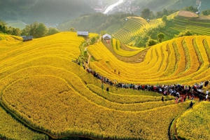 Hàng trăm người xếp hàng chụp ảnh ruộng bậc thang Mù Cang Chải