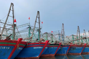 Năm 2022, sản lượng khai thác thủy sản của Nghệ An ước đạt gần 5.000 tỷ đồng