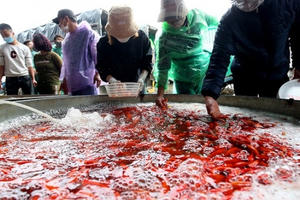 Tấp nập chợ cá lớn nhất Hà Nội trước ngày ông Công ông Táo