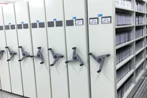 Nhiệm vụ, giải pháp bảo hiểm tài liệu lưu trữ quốc gia giai đoạn II