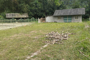 Tuyên Quang: Từng bước giải quyết vi phạm của 115 hộ xây nhà trên đất nông, lâm nghiệp