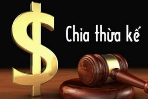 Chia thừa kế xong xuôi thì vợ lẽ, con riêng xuất hiện đòi tranh chấp?