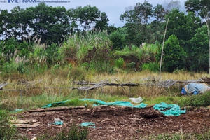 Tuyên Quang: Dự án bị "bỏ quên" biến thành rừng rậm hoang vu giữa lòng Thành phố