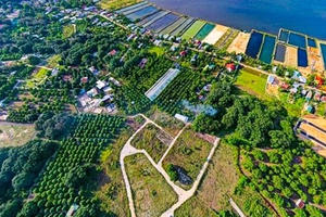 Các nguyên tắc, điều kiện tách thửa đất, hợp thửa đất theo Luật Đất đai 2024