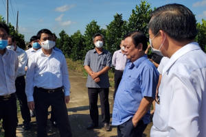 Hậu Giang thực hiện mô hình “Cụm liên kết ngành công – nông nghiệp gắn với phát triển du lịch sinh thái” Hậu Giang thực hiện mô hình “Cụm liên kết ngành công – nông nghiệp gắn với phát triển du lịch sinh thái”