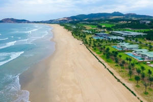 Biệt thự biển thu hút nhà đầu tư, bất động sản Quy Nhơn chuyển mình Biệt thự biển thu hút nhà đầu tư, bất động sản Quy Nhơn chuyển mình
