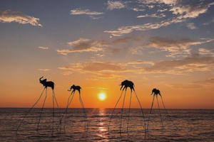 Bãi Trường “chuyển động” hút mạnh vốn đầu tư tại đảo ngọc