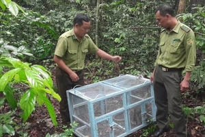 Kiểm lâm Tây Ninh thả động vật nguy cấp, quý hiếm về tự nhiên