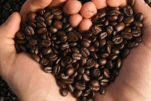 Đứng top 2 thế giới, thế mạnh Việt Nam gặp cú sụt mạnh Đứng top 2 thế giới, thế mạnh Việt Nam gặp cú sụt mạnh