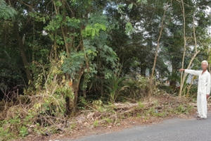 UBND tỉnh Bạc Liêu có câu trả lời bất ngờ về bản án nhiều "sai sót" sau khi Pháp luật Plus phản ánh