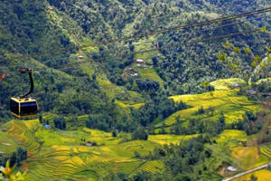 Sun World Fansipan Legend - Địa điểm Tây Bắc phải ghé thăm mùa lúa chín