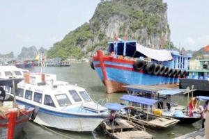 Quảng Ninh: Xử phạt gần 3.000 phương tiện thủy vi phạm