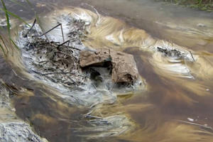Bắc Giang: Công ty Vina Prauden xả thải vào nguồn nước vượt quy chuẩn