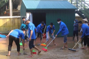 Hai người tử vong vì bệnh dại và liên cầu lợn tại Hà Nội