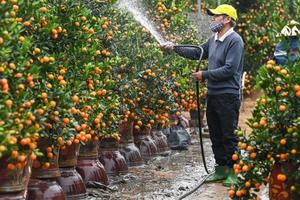 Dự kiến có 19 ngày nghỉ lễ, Tết trong năm 2023