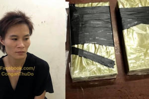 Hà Nội: Khởi tố, bắt tạm giam đối tượng vận chuyển 980,26 gam heroin và 19,460g ma túy tổng hợp