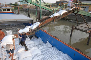 Vụ việc mở tờ khai xuất khẩu gạo lúc nửa đêm: VFA đề nghị kiểm tra, hủy toàn bộ tờ khai