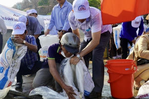 Bình Thuận thả hơn 1 triệu con tôm, cá giống