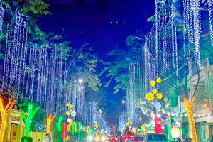 Thành phố Biên Hòa trang hoàng diện mạo mới lung linh đón Tết