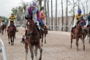 Kỳ 1: Những dự án trường đua ngựa ngàn tỉ