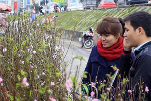 Hương Tết sớm hối hả tràn về thủ đô