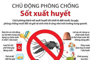 Đồng Nai ghi nhận ca tử vong đầu tiên do sốt xuất huyết