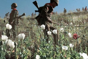 Bắt giữ nhà sư tàng trữ hơn 4 triệu viên ma túy đá tại chùa Bắt giữ nhà sư tàng trữ hơn 4 triệu viên ma túy đá tại chùa