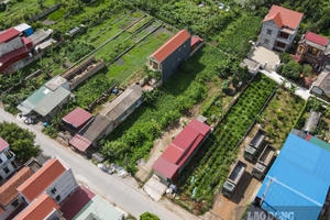 300 trường hợp sử dụng đất không hợp pháp tại xã Xuân Đài, Nam Định