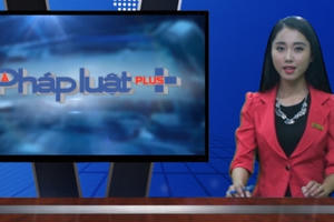 Bản tin thời sự Pháp luật Plus 24/7