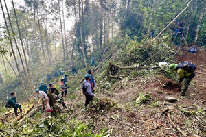 2 cán bộ kiểm lâm tử nạn khi tham gia chữa cháy rừng trên đỉnh Tây Côn Lĩnh
