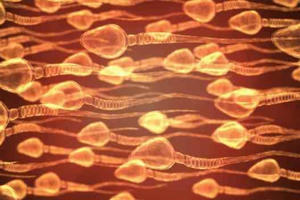 Sự thật bất ngờ về đội tinh binh