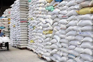 Xuất cấp hơn 243 tấn gạo hỗ trợ người dân nghèo ở hai tỉnh đón Tết