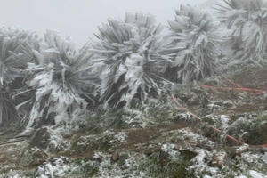 Miền Bắc rét đậm, rét hại, vùng núi cao khả năng xảy ra băng giá