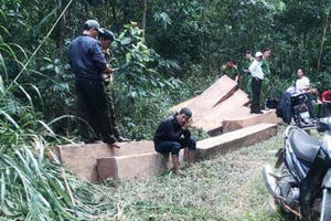 Phát hiện hàng chục hộp gỗ được tập kết ở rừng