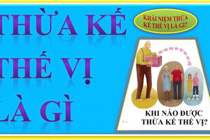 Thừa kế thế vị là gì, điều kiện để được hưởng thừa kế thế vị Thừa kế thế vị là gì, điều kiện để được hưởng thừa kế thế vị