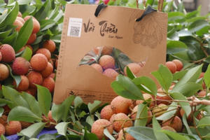 Vải thiều Bắc Giang “vươn tầm” chinh phục thị trường thế giới