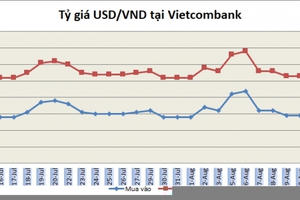 Tỷ giá ngày 13/8: Đi ngang