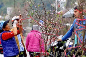 Thời tiết cả nước dịp Tết Kỷ Hợi 2019 diễn biến thế nào?