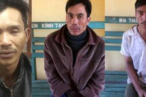 Bắt giam 3 đối tượng triệt hạ nhiều cây gỗ rừng ở Lâm Đồng