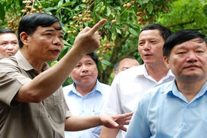 Lãnh đạo tỉnh Hưng Yên mỗi ngày dành 2 tiếng đồng hồ đi… bán nhãn