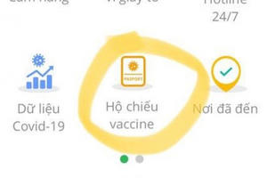 Gần 500.000 người Việt Nam đã có hộ chiếu vaccine