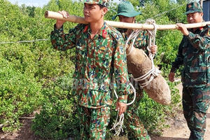 Thu gom, xử lý quả bom 112,5kg còn nguyên ngòi nổ