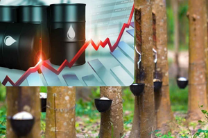 Thị trường năng lượng: Giá dầu suy yếu