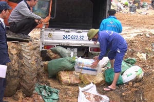 Lào Cai: Tiêu hủy gần 800 tạ thực phẩm đông lạnh đang phân hủy