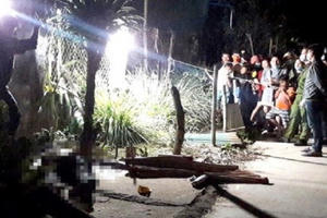 Bắt giữ nam thanh niên dùng gậy đánh chết cha dượng