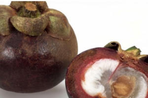 Quả măng cụt giúp ngăn ngừa sỏi thận