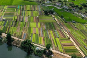 Giao kế hoạch vốn cho các địa phương thực hiện 3 chương trình mục tiêu quốc gia. Giao kế hoạch vốn cho các địa phương thực hiện 3 chương trình mục tiêu quốc gia.