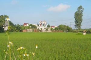 Thái Bình: Bắt nguyên chủ tịch xã và cán bộ địa chính bán đất trái phép